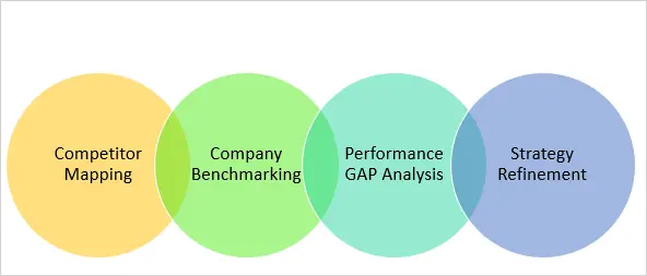 Mapeo de Competidores, Benchmarking de Empresas, Análisis de Brechas de Desempeño, Refinamiento de Estrategia
