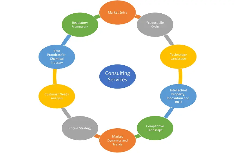 Servicios de Consultoría: Entrada al Mercado, Ciclo de Vida del Producto, Panorama Tecnológico, Innovación en Propiedad Intelectual e I+D, Panorama Competitivo, Dinámica y Tendencias del Mercado, Estrategia de Precios, Análisis de Necesidades del Cliente, Marco Regulatorio, Cartera para la Industria Química