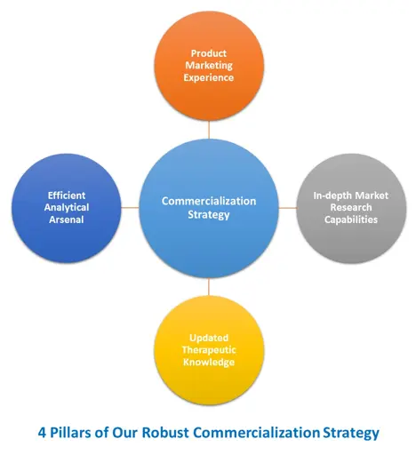 4 Pilares de Nuestra Sólida Estrategia de Comercialización: Experiencia en Marketing de Productos, Arsenal Analítico Eficiente, Estrategia de Comercialización, Capacidades de Investigación de Mercado en Profundidad, Conocimiento Terapéutico Actualizado