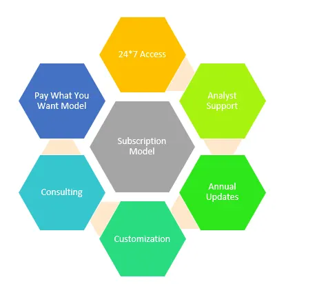 Modelo de Suscripción: Modelo Pague lo que Desee, Acceso 24/7, Soporte de Analistas, Actualizaciones Anuales, Personalización, Consultoría